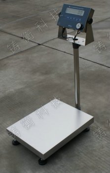 300�����������_�Q